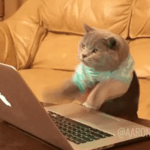 Cat using a Mac computer