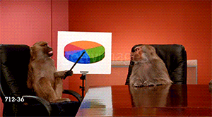 2 monkeys showing a pie chart
